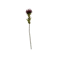Sztuczne kwiaty - Sztuczny kwiat (wysokość 60 cm) Protea – PT LIVING - miniaturka - grafika 1