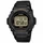 Zegarek Casio Sport W-219H-1A2VEF modelW 219H 1A2