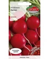 Nasiona i cebule - Nasiona Rzodkiewka (do uprawy w polu) Carmen 5g - Torseed - miniaturka - grafika 1