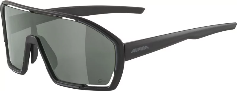 Alpina Alpina Bonfire Q-Lite Glasses, czarny  2022 Okulary 8686031