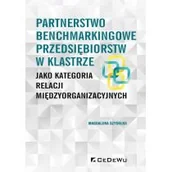 Ekonomia - Partnerstwo benchmarkingowe przedsiębiorstw w klastrze jako kategoria relacji międzyorganizacyjnych Magdalena Szydełko - miniaturka - grafika 1
