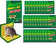Zwalczanie i odstraszanie szkodników - Pako Lep Na Myszy i Szczury PAKO - 30 szt. - miniaturka - grafika 1