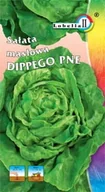 Nasiona i cebule - Sałata masłowa Dippego 1g / L / - miniaturka - grafika 1