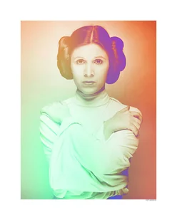 Disney plakat Klasyczne ikony Star Wars Kolor Leia pomarańczowymIzielonym - 611658 - 40 x 50 cm - Plakaty - miniaturka - grafika 1