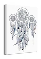 Obrazy i zdjęcia na płótnie - Pyramid Posters Dreamcatcher Silver - obraz na płótnie 40x50 WDC94801 - miniaturka - grafika 1