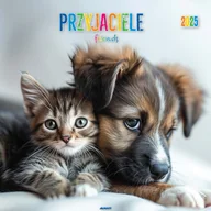 Kalendarze - Kd-19 Przyjaciele Kalendarium Miesięczne - miniaturka - grafika 1