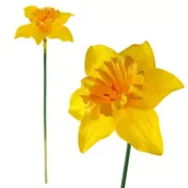 Stroje karnawałowe - Żonkil - miniaturka - grafika 1