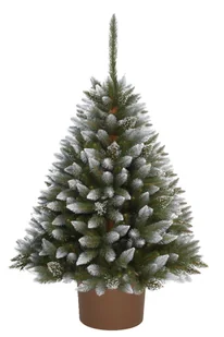 ŚWIERK DIAMENTOWY W OKRĄGŁEJ DONICY 110 CM - Choinki - miniaturka - grafika 1