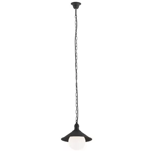 Argon ERBA BIS 3285 lampa wisząca 1x60W E27 - Lampy ogrodowe - miniaturka - grafika 1