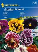 Nasiona i cebule - Kiepenkerl Bratek Orchideenbltiger Mix Viola x wittrockiana 102289 - miniaturka - grafika 1