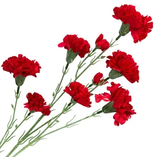 [w0540] Gałązka kwiatowa goździk satynowy 72cm czerwony - Sztuczne kwiaty - miniaturka - grafika 1