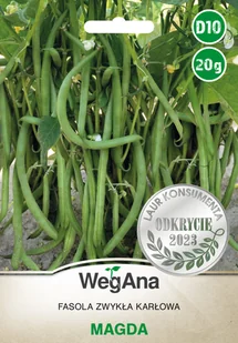FASOLA sz. ZIELONA KARŁOWA MAGDA 20g - Nasiona i cebule - miniaturka - grafika 1