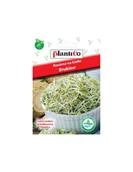 Nasiona i cebule - Plantico KIEŁKI Brukiew nasiona 10g 03207 - miniaturka - grafika 1