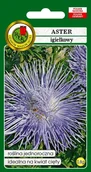 Nasiona i cebule - Aster igiełkowy niebieski 0,8 g PNOS - miniaturka - grafika 1