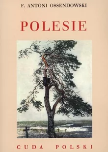 LTW Polesie - Ferdynand Antoni Ossendowski - Książki podróżnicze - miniaturka - grafika 1