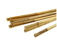 Pozostałe narzędzia ogrodowe - Big Tyczka Bambusowa 16/18Mm*1500Mm BIG-TB150 5907778339996 - miniaturka - grafika 1