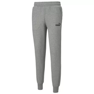 Puma, Spodnie męskie, Essentials Logo Pants, 586714-03, szare, rozmiar XXL - Spodnie męskie - miniaturka - grafika 1