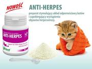 Suplementy i witaminy dla psów - Vetfood Anti-Herpes 60 g - miniaturka - grafika 1