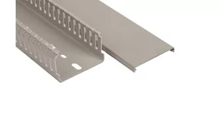 Schneider Kanał-grzebieniowy-60xh40-2m E44 - Kanały kablowe - miniaturka - grafika 1