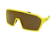 Okulary przeciwsłoneczne - Alpina Ram HM+ Pineapple Matt/Gold Mirror - miniaturka - grafika 1