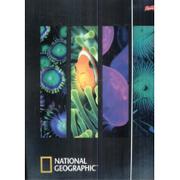 Teczki i skoroszyty - St. Majewski Teczka A4 z gumką National Geographic - miniaturka - grafika 1