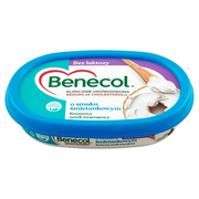 Sery - Benecol - Kremowy serek twarogowy o smaku śmietankowym - miniaturka - grafika 1