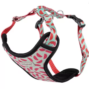 Amiplay Behappy Szelki Regulowane Discovery S 20-30 X 30-40 X 1,5 Cm Watermelon Dla Psa - Szelki dla psów - miniaturka - grafika 1