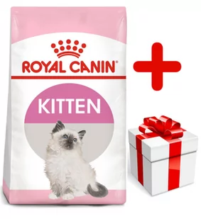 Royal Canin Kitten 36 20 kg - Sucha karma dla kotów - miniaturka - grafika 1