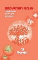 Religia i religioznawstwo - Wydawnictwo Św. Stanisława BM Różańcowy szlak... XI Ogrójec - Stanisław Szczepaniec - miniaturka - grafika 1