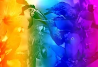 Puzzle - Drewniane Puzzle z figurkami – Ptaki gradient rozm. M, 200 elementów - miniaturka - grafika 1