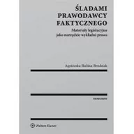 Prawo - Bielska-Brodziak Agnieszka Śladami prawodawcy faktycznego - mamy na stanie, wyślemy natychmiast - miniaturka - grafika 1