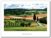 Plakaty - Paesaggio Toscano plakat obraz 80x60cm - miniaturka - grafika 1