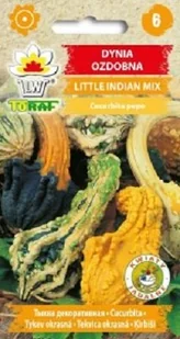 Dynia ozdobna Little Indian mix nasiona 2 g. - Nasiona i cebule - miniaturka - grafika 1