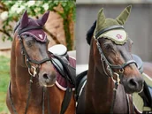 Akcesoria jeździeckie - Horze Nauszniki MONSTER - miniaturka - grafika 1