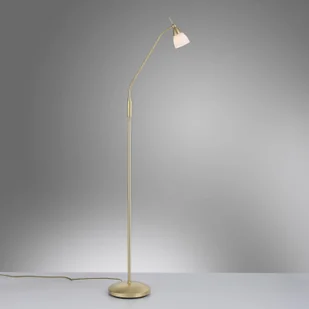 Lampa stojąca Paul Neuhaus Pino, matowy mosiądz - Lampy stojące - miniaturka - grafika 3
