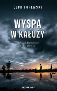 Wyspa w kałuży - E-booki - literatura polska - miniaturka - grafika 1