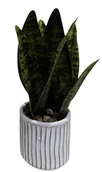 Sztuczne kwiaty - ROŚLINA SZTUCZNA Sanseviera HOMLA 20 cm - miniaturka - grafika 1