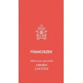 Religia i religioznawstwo - TUM Amoris laetitia - Papież Franciszek - miniaturka - grafika 1