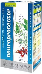 Biovitalium Neuroprotector - Suplement diety na pamięć, koncentrację,aktywność,dobre samopoczucie,prawidłowa praca mózgu,stabilizacja układu nerwowego. 00006 - Układ nerwowy - miniaturka - grafika 1