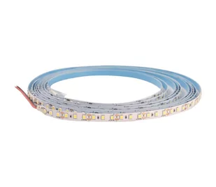 LED Taśma DAISY 30m chłodna biel - Taśmy LED - miniaturka - grafika 1