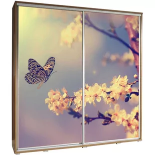 Szafa 205 z Grafiką Motyl 2 Penelopa Maridex Kasztan Wenge - Szafy - miniaturka - grafika 1