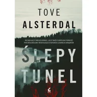 Kryminały - Ślepy tunel Tove Alsterdal - miniaturka - grafika 1