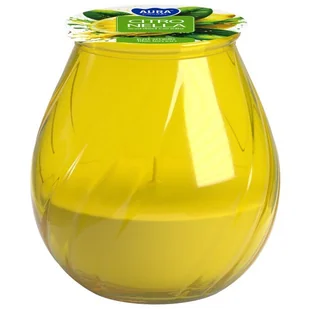 Świeca ogrodowa w szkle BISPOL Aura Citronella 25H - Świece - miniaturka - grafika 1