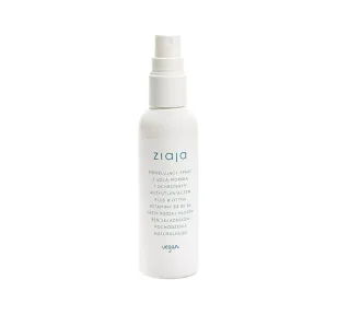 Ziaja Modelujący Spray Do Włosów Z Solą Morską - Kosmetyki do stylizacji włosów - miniaturka - grafika 1