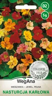 Nasiona i cebule - NASTURCJA KARŁOWA PEŁNA MIESZANKA 2g - miniaturka - grafika 1