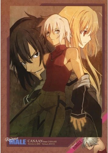 Plakat Anime Manga Canaan CAN_011 A2 (custom)