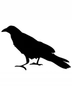 Scrapbooking - Halloween Kruk Scrapki Papierowe 8 Szt Kolory - miniaturka - grafika 1