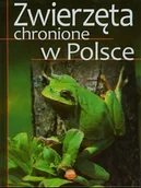 Albumy krajoznawcze - Zwierzęta chronione w Polsce - miniaturka - grafika 1