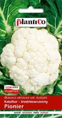 Nasiona i cebule - Kalafior Pionier 10 g Plantico - miniaturka - grafika 1