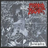 Metal, Punk - Juvenilia - miniaturka - grafika 1